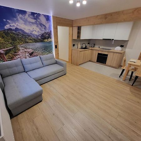 Apartament Chycow Potok Zakopane Bagian luar foto